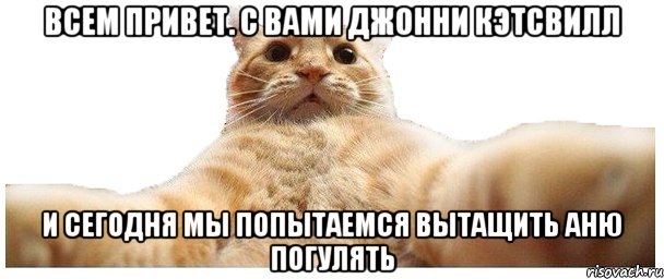 всем привет. с вами джонни кэтсвилл и сегодня мы попытаемся вытащить Аню погулять, Мем   Кэтсвилл