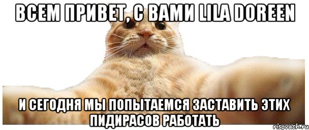 ВСЕМ ПРИВЕТ, С ВАМИ LILA DOREEN И СЕГОДНЯ МЫ ПОПЫТАЕМСЯ ЗАСТАВИТЬ ЭТИХ ПИДИРАСОВ РАБОТАТЬ, Мем   Кэтсвилл