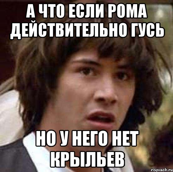 а что если рома действительно гусь но у него нет крыльев, Мем А что если (Киану Ривз)