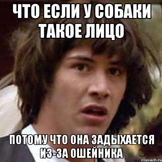 ЧТО ЕСЛИ У СОБАКИ ТАКОЕ ЛИЦО ПОТОМУ ЧТО ОНА ЗАДЫХАЕТСЯ ИЗ-ЗА ОШЕЙНИКА, Мем А что если (Киану Ривз)