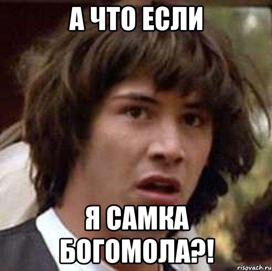 а что если я самка богомола?!, Мем А что если (Киану Ривз)