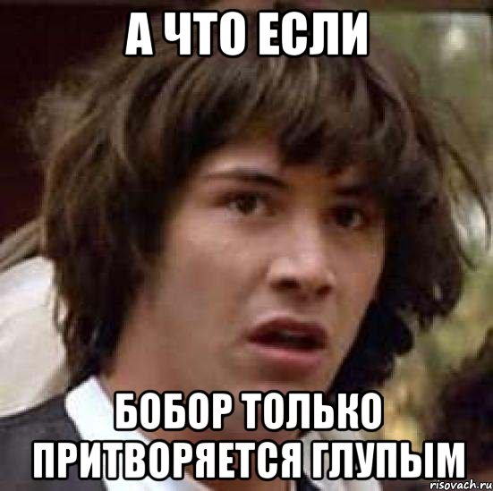 А что если Бобор только притворяется глупым, Мем А что если (Киану Ривз)