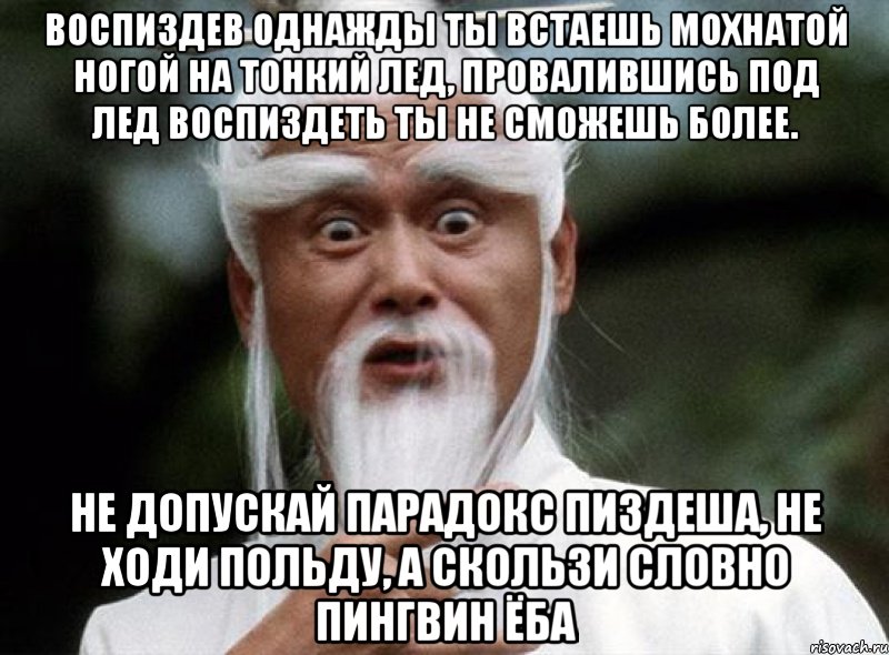 Воспиздев однажды ты встаешь мохнатой ногой на тонкий лед, провалившись под лед воспиздеть ты не сможешь более. Не допускай парадокс пиздеша, не ходи польду, а скользи словно пингвин ёба