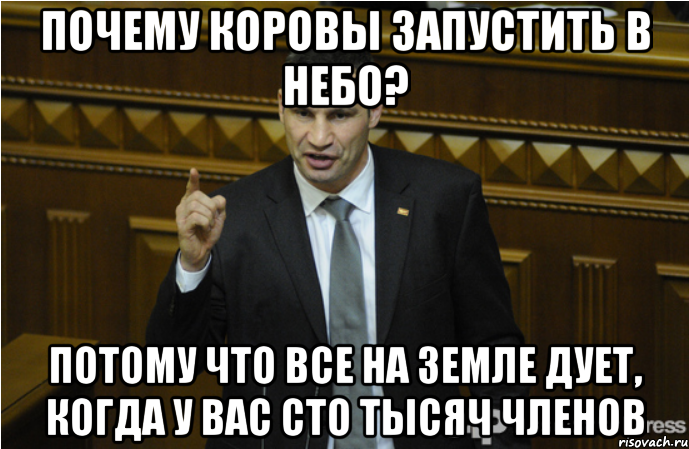 Почему коровы запустить в небо? Потому что все на земле дует, когда у вас сто тысяч членов, Мем кличко философ