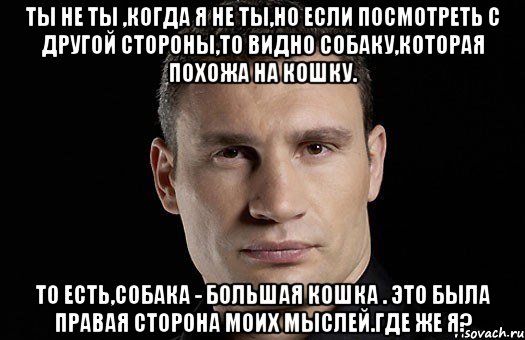 Ты не ты ,когда я не ты,но если посмотреть с другой стороны,то видно собаку,которая похожа на кошку. То есть,собака - большая кошка . Это была правая сторона моих мыслей.Где же я?, Мем Кличко