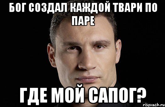 Бог создал каждой твари по паре Где мой сапог?, Мем Кличко