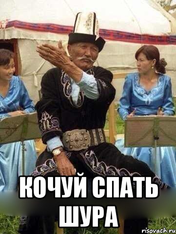  Кочуй спать Шура