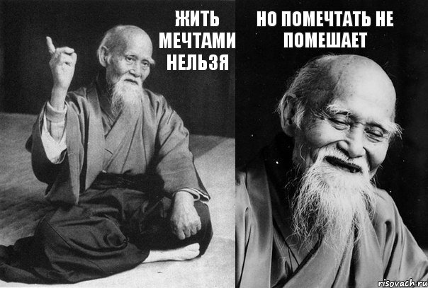 Жить мечтами нельзя но помечтать не помешает, Комикс Мудрец-монах (2 зоны)