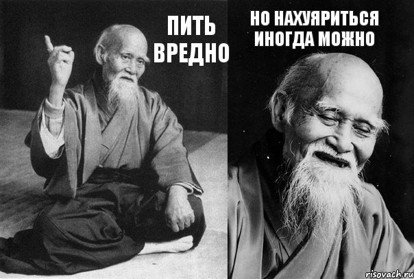 Пить вредно но нахуяриться иногда можно, Комикс Мудрец-монах (2 зоны)