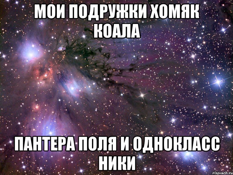 Мои подружки хомяк коала Пантера Поля и однокласс ники, Мем Космос
