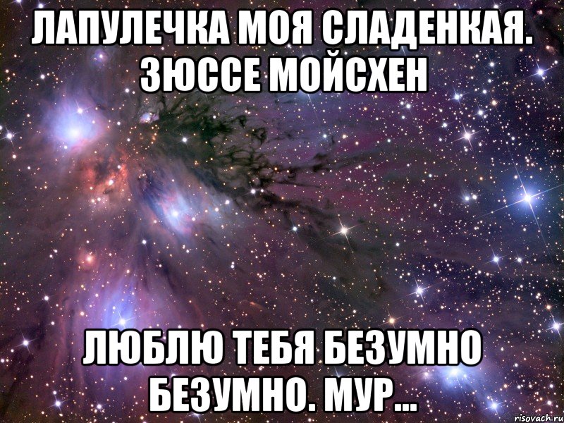 Лапулечка моя сладенкая. Зюссе мойсхен Люблю тебя безумно безумно. Мур..., Мем Космос