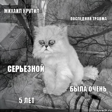 михаил крутил последняя травма 5 лет была очень серьезной, Комикс  кот безысходность