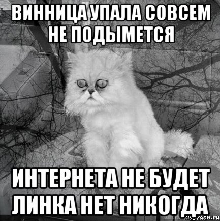 Винница упала совсем не подымется интернета не будет линка нет никогда, Комикс  кот безысходность