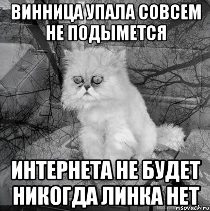 Винница упала совсем не подымется интернета не будет никогда линка нет, Комикс  кот безысходность