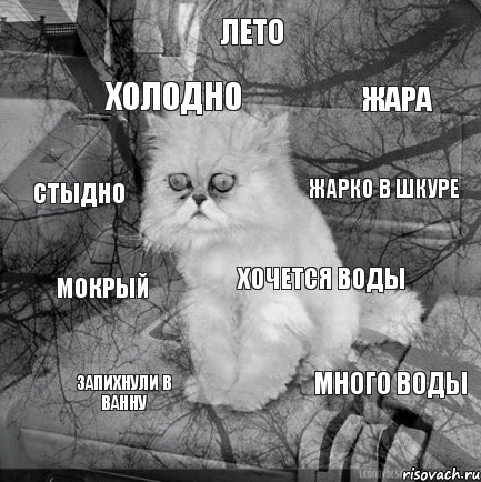 лето жара жарко в шкуре хочется воды много воды запихнули в ванну мокрый холодно стыдно , Комикс  кот безысходность