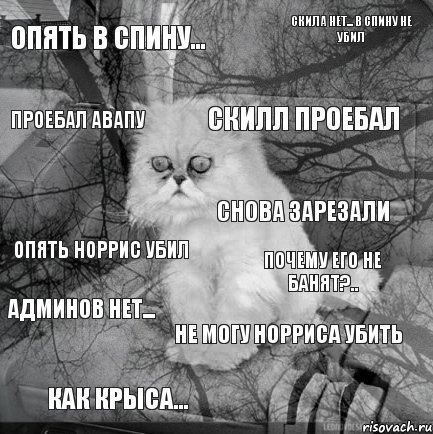 Опять в спину... Почему его не банят?.. Скилл проебал Как крыса... Опять Норрис убил Скила нет... В спину не убил Не могу Норриса убить Проебал Авапу Админов нет... Снова зарезали