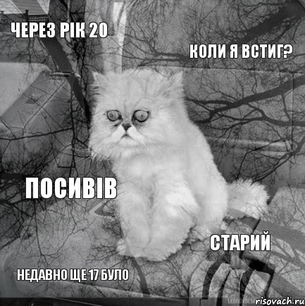 Через рік 20 коли я встиг? Недавно ще 17 було Старий Посивів, Комикс  кот безысходность