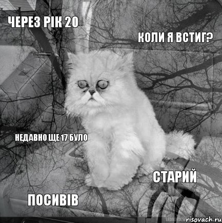 Через рік 20 коли я встиг? Посивів Старий Недавно ще 17 було, Комикс  кот безысходность