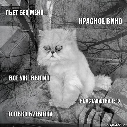 пьет без меня красное вино только бутылку не оставил ничего все уже выпил