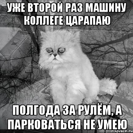 уже второй раз машину коллеге царапаю полгода за рулём, а парковаться не умею, Комикс  кот безысходность