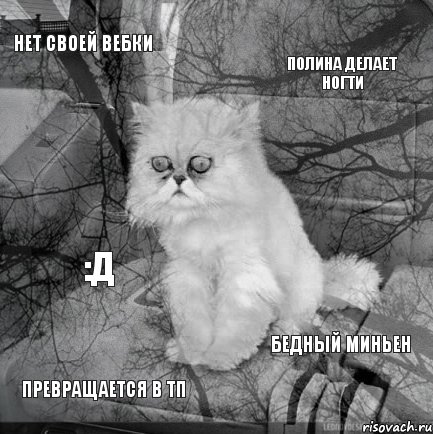 нет своей вебки Полина делает ногти превращается в тп бедный миньен :Д, Комикс  кот безысходность