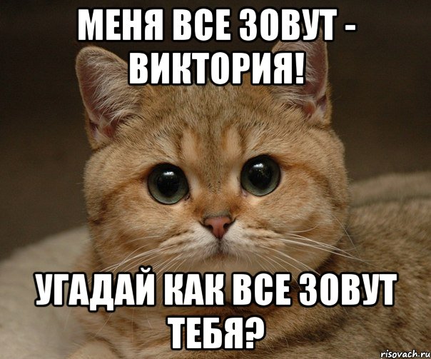 Меня все зовут - Виктория! Угадай как все зовут тебя?, Мем Пидрила Ебаная