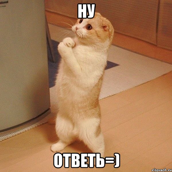 ну ответь=), Мем  котэ молится