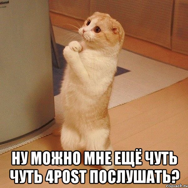  Ну можно мне ещё чуть чуть 4POST послушать?, Мем  котэ молится