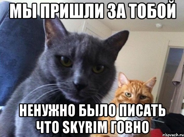 Мы пришли за тобой Ненужно было писать что Skyrim говно, Мем  Два котэ