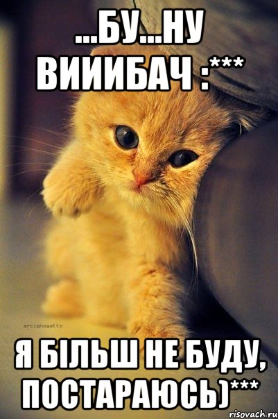 ...бу...ну вииибач :*** я бiльш не буду, постараюсь)***