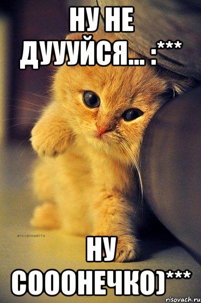 ну не дуууйся... :*** ну сооонечко)***
