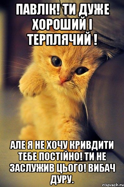 Павлік! Ти дуже хороший і терплячий ! Але я не хочу кривдити тебе постійно! ти не заслужив цього! ВИБАЧ ДУРУ.