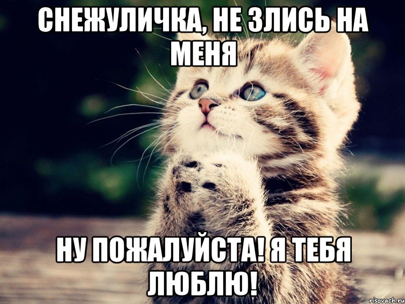 Снежуличка, не злись на меня ну пожалуйста! я тебя люблю!