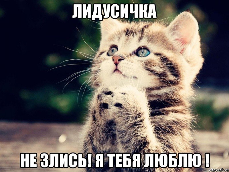 лидусичка не злись! я тебя люблю !