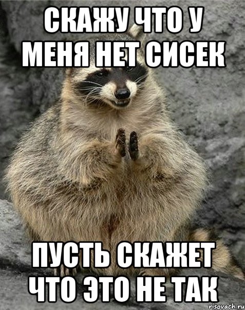 Скажу что у меня нет сисек Пусть скажет что это не так