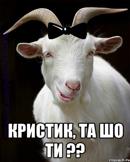  Кристик, та шо ти ??