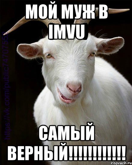 Мой муж в IMVU самый верный!!!!!!!!!!!!