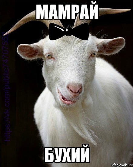 Мамрай бухий