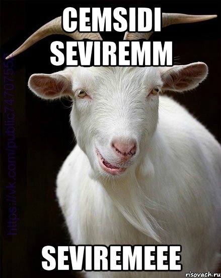 cemsidi seviremm seviremeee