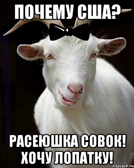 почему сша? расеюшка совок! хочу лопатку!