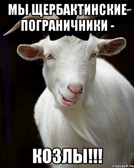 Мы щербактинские пограничники - Козлы!!!