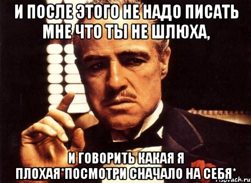 и после этого не надо писать мне что ты не шлюха, и говорить какая я плохая*Посмотри сначало на себя*, Мем крестный отец