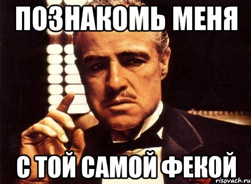 Познакомь меня с той самой ФЕКой, Мем крестный отец
