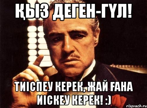 Қыз деген-гүл! Тиіспеу керек, Жай ғана иіскеу керек! :), Мем крестный отец