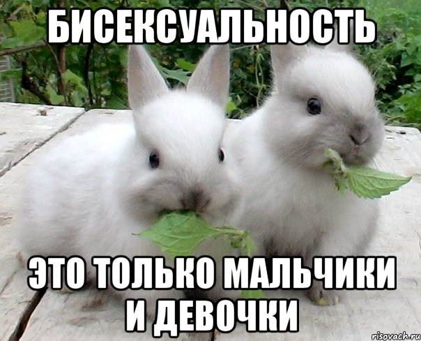 бисексуальность это только мальчики и девочки