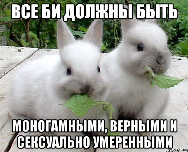 все би должны быть моногамными, верными и сексуально умеренными