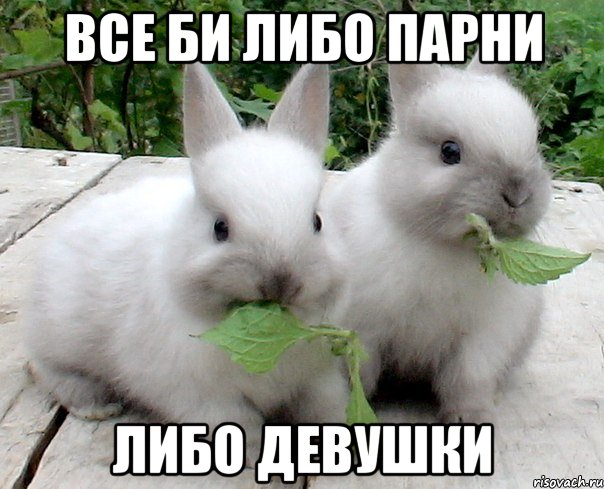 все би либо парни либо девушки
