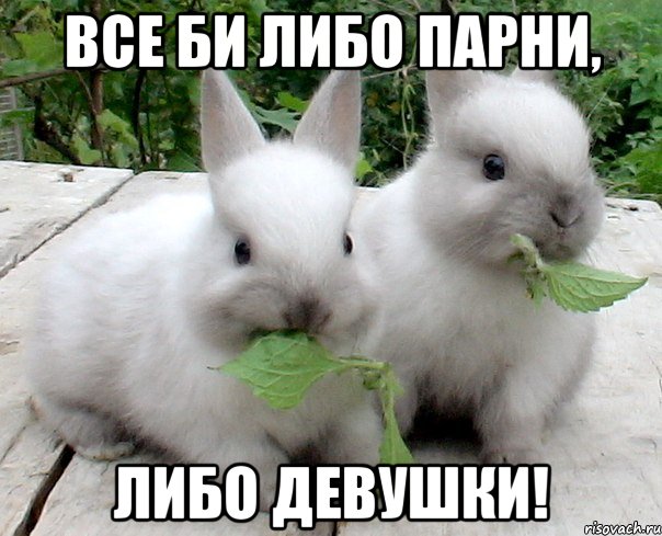 все би либо парни, либо девушки!