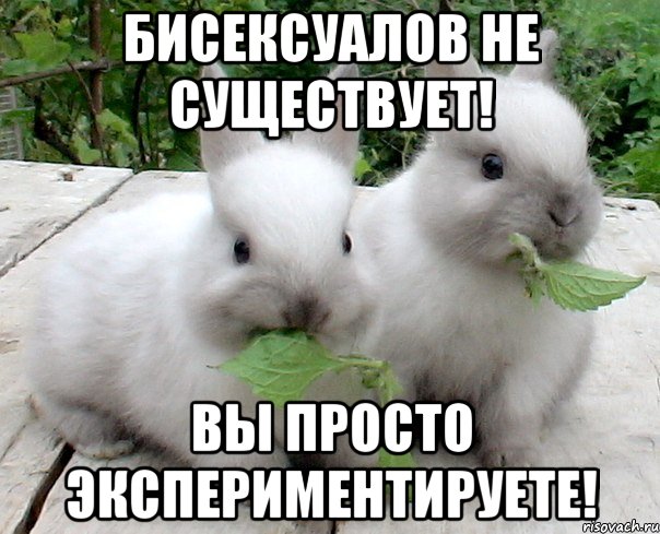 Бисексуалов не существует! Вы просто экспериментируете!