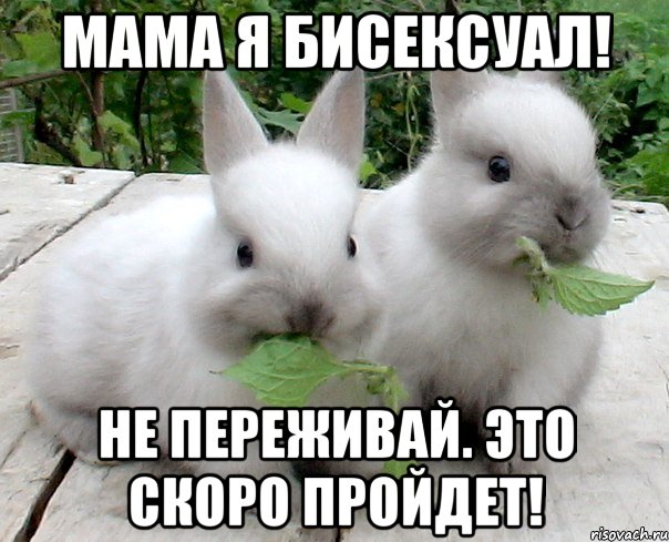 Мама я бисексуал! Не переживай. Это скоро пройдет!, Мем кролики-бифобики